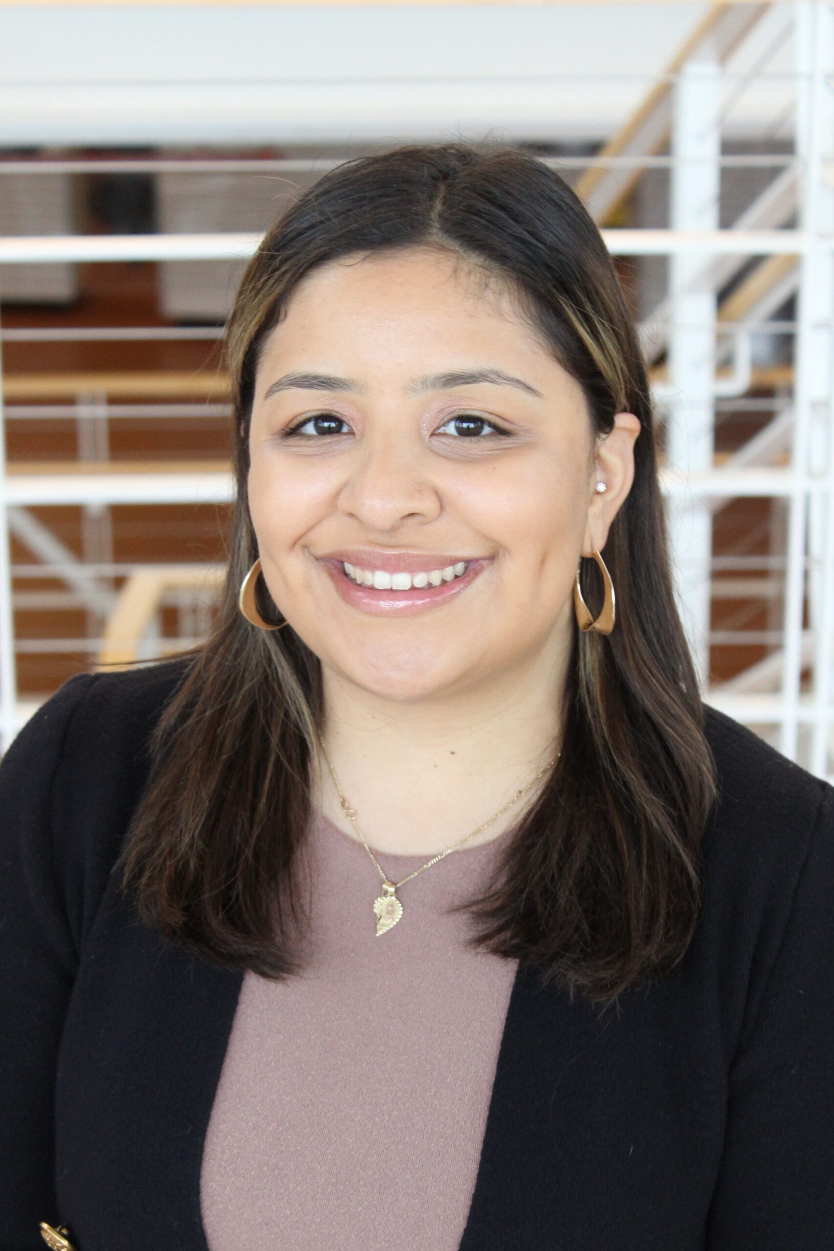 Marisol Martinez